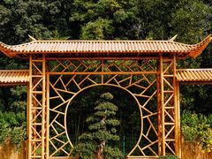 -上海共青森林公园