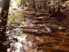 -燕子河大峡谷天坑仙境