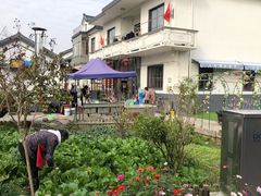 -大莲湖农家乐(青西郊野公园店)