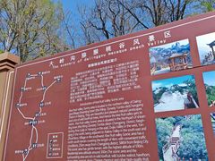 -大岭沟猕猴桃谷风景区