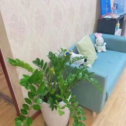 -由甲·美甲美睫工作室