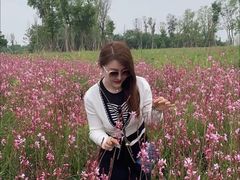 -三圣花乡旅游区