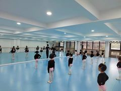 -西安小天鹅艺术团(曲江Alice店)