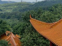 -深圳仙湖植物园