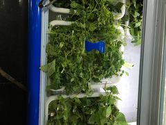 -黔府豆米火锅野菜馆(南马店)