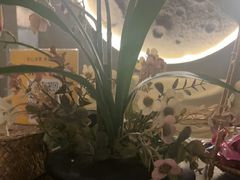 -施奈儿.洗头頭療.按摩SPA.采耳(上梅林店)