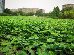 -3W咖啡(国家软件园店)