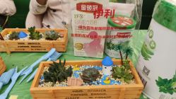 -安馨无忧月子中心(青秀店)