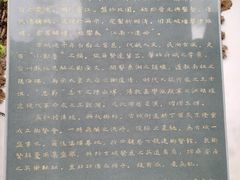 -紫阳古街
