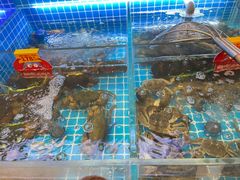 -七欣天香辣蟹火锅(南京桥北太平店)