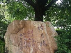 -海珠湖公园