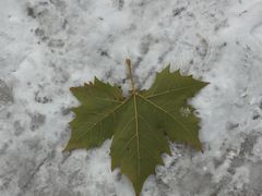 -南开大学滨海学院