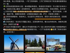 -日照海滨国家森林公园