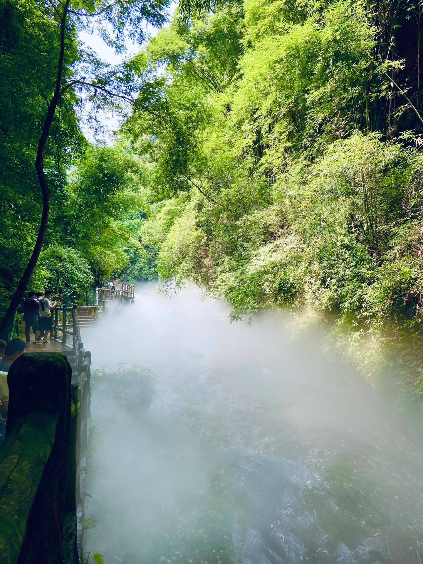 成都川西竹海景区图片