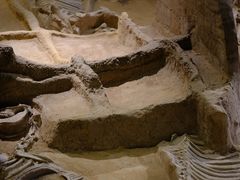 -洛阳周王城天子驾六博物馆