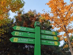 -长白岛森林公园