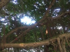 -北部湾广场