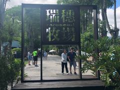 -瑞穗牧场