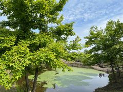 -浮山风景名胜区