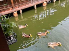 -菜根香土菜馆(文昌东路店)