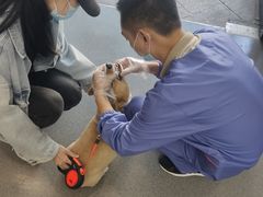 -半岛宠物医院24小时(科华中路店)