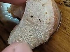 -豫掌柜饸饹面·烩面(秀沿路店)