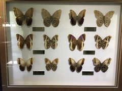 -上海昆虫博物馆