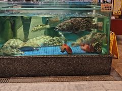 -聚福宝合苑食府(南头镇店)