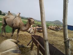 -库伦旗银沙湾旅游景区