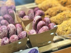 -多乐之日(王府井apm店)