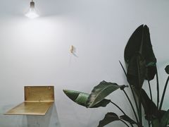 -常识咖啡common sense(春熙路店)