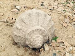 八大关景区-八大关景区