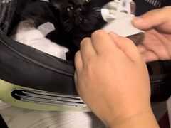 -纳吉亚猫专科动物医院·北北分院