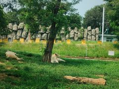-秦皇岛野生动物园
