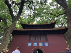 -法雨寺餐厅