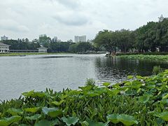 -荔湾湖公园