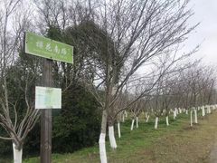 -上海海湾国家森林公园