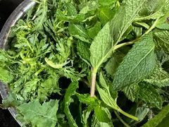 -黔府豆米火锅野菜馆(南马店)