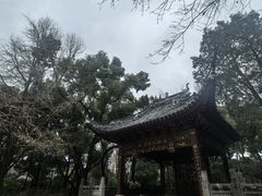 -汇龙潭