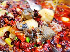 -黑竹香鸡(营和巷店)