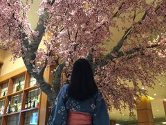 -大江户·温泉洗浴(浑南店)