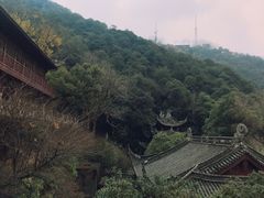 -韬光茶庵