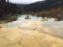 -黄龙山原始森林景区