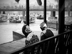 -溱湖国家湿地公园