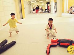 -勇气斑马·巴西柔术&跆拳道(浦东三林店)