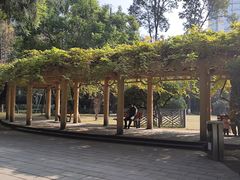 -温江公园