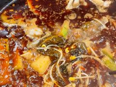 -金海椒罐罐鲢鱼(东方桂苑店)