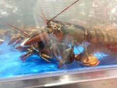 -盒马鲜生(财富中心店)