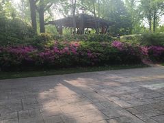 -黄兴公园