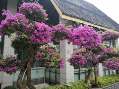 -广州莲花山旅游区